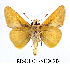  ( - RR-HEOT-ND003)  @14 [ ] Unspecified (default): All Rights Reserved  Unspecified Unspecified