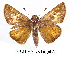 ( - RR-HEOT-ND004)  @13 [ ] Unspecified (default): All Rights Reserved  Unspecified Unspecified