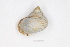  ( - BORMOL 8638)  @11 [ ] Unspecified (default): All Rights Reserved  Unspecified Unspecified