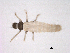  ( - BIOUG02708-F06)  @13 [ ] CreativeCommons - Attribution (2013) Trevor Bringloe Centre for Biodiversity Genomics