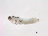  ( - BIOUG02709-A07)  @13 [ ] CreativeCommons - Attribution (2013) Trevor Bringloe Centre for Biodiversity Genomics