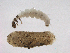  ( - BIOUG02709-C04)  @13 [ ] CreativeCommons - Attribution (2013) Trevor Bringloe Centre for Biodiversity Genomics