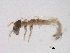  ( - BIOUG02709-H01)  @13 [ ] CreativeCommons - Attribution (2013) Trevor Bringloe Centre for Biodiversity Genomics
