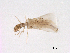  ( - BIOUG03324-D11)  @13 [ ] CreativeCommons - Attribution (2013) Trevor Bringloe Centre for Biodiversity Genomics