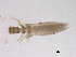  ( - BIOUG03324-D12)  @12 [ ] CreativeCommons - Attribution (2013) Trevor Bringloe Centre for Biodiversity Genomics