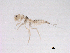  ( - BIOUG03324-E01)  @13 [ ] CreativeCommons - Attribution (2013) Trevor Bringloe Centre for Biodiversity Genomics