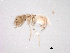  ( - BIOUG03324-F01)  @13 [ ] CreativeCommons - Attribution (2013) Trevor Bringloe Centre for Biodiversity Genomics