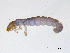  ( - BIOUG06970-E12)  @13 [ ] CreativeCommons - Attribution (2013) Trevor Bringloe Centre for Biodiversity Genomics