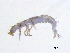  ( - BIOUG06970-G11)  @13 [ ] CreativeCommons - Attribution (2013) Trevor Bringloe Centre for Biodiversity Genomics