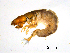  ( - BIOUG07062-B09)  @13 [ ] CreativeCommons - Attribution (2013) Trevor Bringloe Centre for Biodiversity Genomics