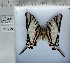  ( - PRO-GF-10)  @11 [ ] CC-by (2023) Mohamed Benmesbah Research Collection of Mohamed Benmesbah