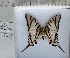  ( - PRO-GF-13)  @11 [ ] CC-by (2023) Mohamed Benmesbah Research Collection of Mohamed Benmesbah