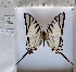  ( - PRO-GF-14)  @11 [ ] CC-by (2023) Mohamed Benmesbah Research Collection of Mohamed Benmesbah
