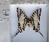  ( - PRO-GF-14)  @11 [ ] CC-by (2023) Mohamed Benmesbah Research Collection of Mohamed Benmesbah