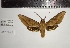  ( - SPH-18-03)  @11 [ ] CC-by (2023) Mohamed Benmesbah Research Collection of Mohamed Benmesbah