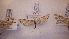  ( - LepVM327)  @12 [ ] CreativeCommons - Attribution Non-Commercial Share-Alike (2014) NTNU Museum of Natural History and Archaeology NTNU University Museum, Department of Natural History