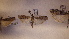  ( - LepVM368)  @12 [ ] CreativeCommons - Attribution Non-Commercial Share-Alike (2014) NTNU University Museum, Department of Natural History NTNU University Museum, Department of Natural History