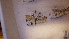  ( - LepVM421)  @12 [ ] CreativeCommons - Attribution Non-Commercial Share-Alike (2014) NTNU University Museum, Department of Natural History NTNU University Museum, Department of Natural History