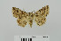  ( - RMNH.5010013)  @12 [ ] CreativeCommons - Attribution Non-Commercial Share-Alike (2014) Unspecified Naturalis, Biodiversity Centre