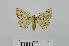  ( - RMNH.5010016)  @12 [ ] CreativeCommons - Attribution Non-Commercial Share-Alike (2014) Unspecified Naturalis, Biodiversity Centre