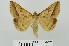  ( - RMNH.5010021)  @14 [ ] CreativeCommons - Attribution Non-Commercial Share-Alike (2014) Unspecified Naturalis, Biodiversity Centre