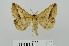  ( - RMNH.5010022)  @11 [ ] CreativeCommons - Attribution Non-Commercial Share-Alike (2014) Unspecified Naturalis, Biodiversity Centre