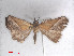  ( - RMNH.5010052)  @12 [ ] CreativeCommons - Attribution Non-Commercial Share-Alike (2014) Unspecified Naturalis, Biodiversity Centre