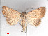  ( - RMNH.5010053)  @13 [ ] CreativeCommons - Attribution Non-Commercial Share-Alike (2014) Unspecified Naturalis, Biodiversity Centre