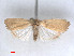  ( - RMNH.5010137)  @12 [ ] CreativeCommons - Attribution Non-Commercial Share-Alike (2014) Unspecified Naturalis, Biodiversity Centre