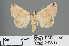  ( - RMNH.INS.543819)  @12 [ ] CreativeCommons - Attribution Non-Commercial Share-Alike (2012) Unspecified Naturalis, Biodiversity Centre
