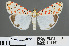  ( - RMNH.INS.543841)  @14 [ ] CreativeCommons - Attribution Non-Commercial Share-Alike (2012) Unspecified Naturalis, Biodiversity Centre