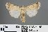  ( - RMNH.INS.543869)  @12 [ ] CreativeCommons - Attribution Non-Commercial Share-Alike (2012) Unspecified Naturalis, Biodiversity Centre