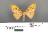  ( - RMNH.INS.539148)  @11 [ ] CreativeCommons - Attribution Non-Commercial Share-Alike (2013) Unspecified Naturalis, Biodiversity Centre