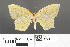  ( - RMNH.INS.539232)  @11 [ ] CreativeCommons - Attribution Non-Commercial Share-Alike (2013) Unspecified Naturalis, Biodiversity Centre