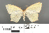  ( - RMNH.INS.539232)  @11 [ ] CreativeCommons - Attribution Non-Commercial Share-Alike (2013) Unspecified Naturalis, Biodiversity Centre