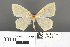  ( - RMNH.INS.539233)  @11 [ ] CreativeCommons - Attribution Non-Commercial Share-Alike (2013) Unspecified Naturalis, Biodiversity Centre