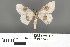  ( - RMNH.INS.539269)  @13 [ ] CreativeCommons - Attribution Non-Commercial Share-Alike (2013) Unspecified Naturalis, Biodiversity Centre