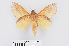  ( - RMNH.INS.549935)  @14 [ ] CreativeCommons - Attribution Non-Commercial Share-Alike (2012) Unspecified Naturalis, Biodiversity Centre