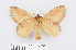  ( - RMNH.INS.549937)  @11 [ ] CreativeCommons - Attribution Non-Commercial Share-Alike (2012) Unspecified Naturalis, Biodiversity Centre