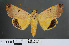  ( - RMNH.INS.537971)  @13 [ ] CreativeCommons - Attribution Non-Commercial Share-Alike (2012) Unspecified Naturalis, Biodiversity Centre