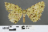  ( - RMNH.INS.540044)  @12 [ ] CreativeCommons - Attribution Non-Commercial Share-Alike (2013) Unspecified Naturalis, Biodiversity Centre