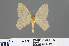  ( - RMNH.INS.541324)  @11 [ ] CreativeCommons - Attribution Non-Commercial Share-Alike (2013) Unspecified Naturalis, Biodiversity Centre