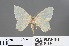  ( - RMNH.INS.541944)  @11 [ ] CreativeCommons - Attribution Non-Commercial Share-Alike (2013) Unspecified Naturalis, Biodiversity Centre