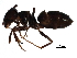  ( - BIOUG36748-A08)  @15 [ ] CreativeCommons - Attribution (2018) CBG Photography Group Centre for Biodiversity Genomics