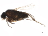  ( - BIOUG36882-E10)  @13 [ ] CreativeCommons - Attribution (2018) CBG Photography Group Centre for Biodiversity Genomics