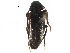  ( - CCDB-28934-H05)  @14 [ ] CreativeCommons - Attribution (2015) CBG Photography Group Centre for Biodiversity Genomics