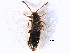  ( - CCDB-28935-E01)  @11 [ ] CreativeCommons - Attribution (2015) CBG Photography Group Centre for Biodiversity Genomics