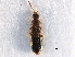  ( - CCDB-28935-E03)  @13 [ ] CreativeCommons - Attribution (2015) CBG Photography Group Centre for Biodiversity Genomics