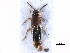  ( - CCDB-28935-E12)  @11 [ ] CreativeCommons - Attribution (2015) CBG Photography Group Centre for Biodiversity Genomics