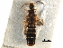  ( - CCDB-28935-F01)  @12 [ ] CreativeCommons - Attribution (2015) CBG Photography Group Centre for Biodiversity Genomics